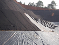 ���̰���