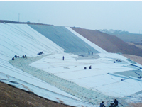 ���̰���