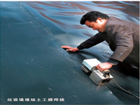 ������������Ĥ����