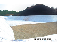 ���ڱ���������