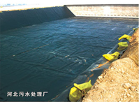 �ӱ���ˮ������