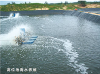 ��λ��ˮ��ֳ