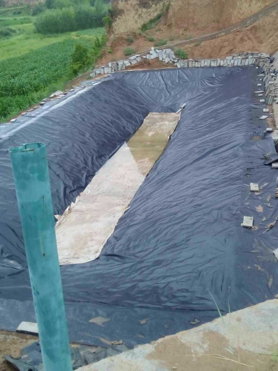 ���̰���