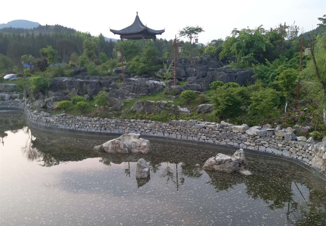 ʩ������