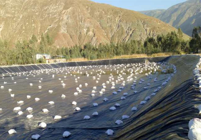 ʩ������