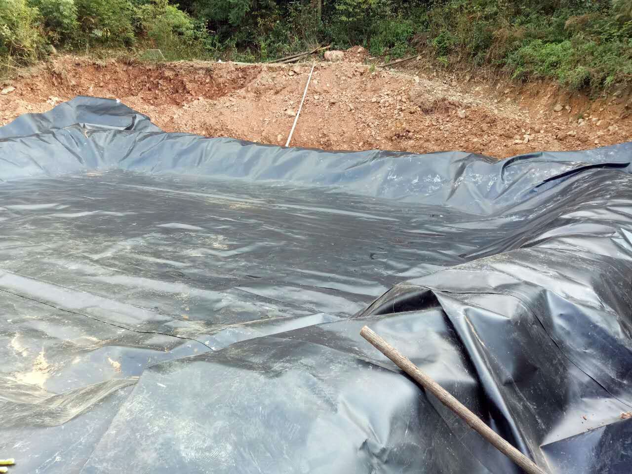 ����ص�Ĥ+��Ĥ